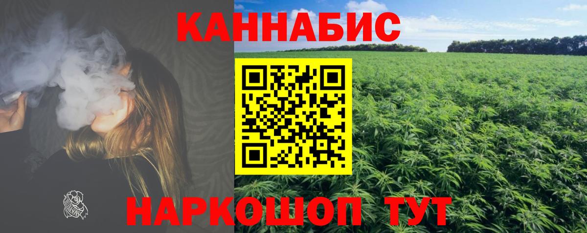 Канабис SATIVA & INDICA  Вход с VPN  Владимир  Каннабис индика 